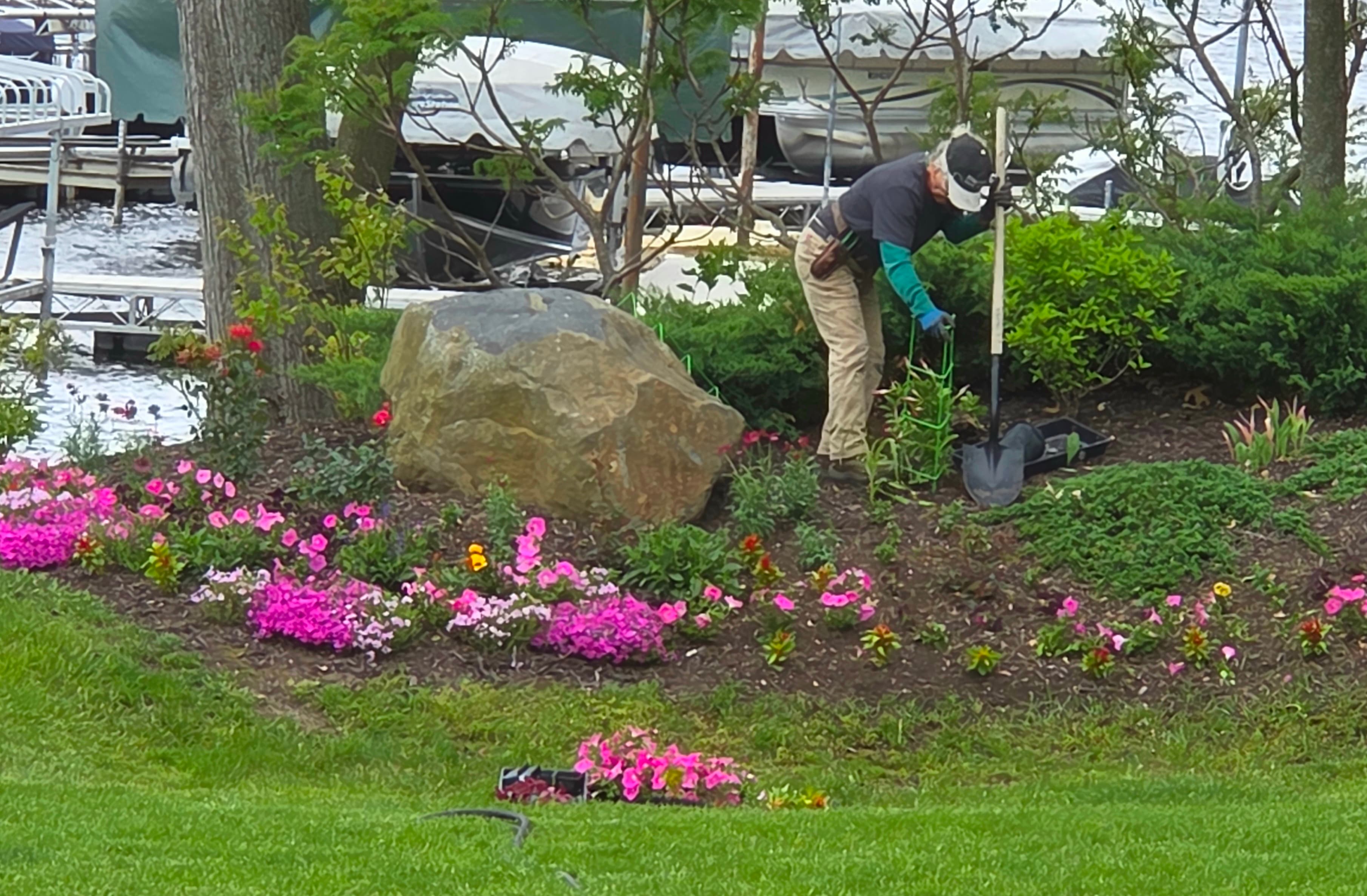 Gardener works in a flowerbed with pink flowers and a large rock near a lake.