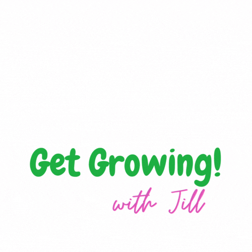 Get Growing With Jill !   Pink flowers can popup all over!